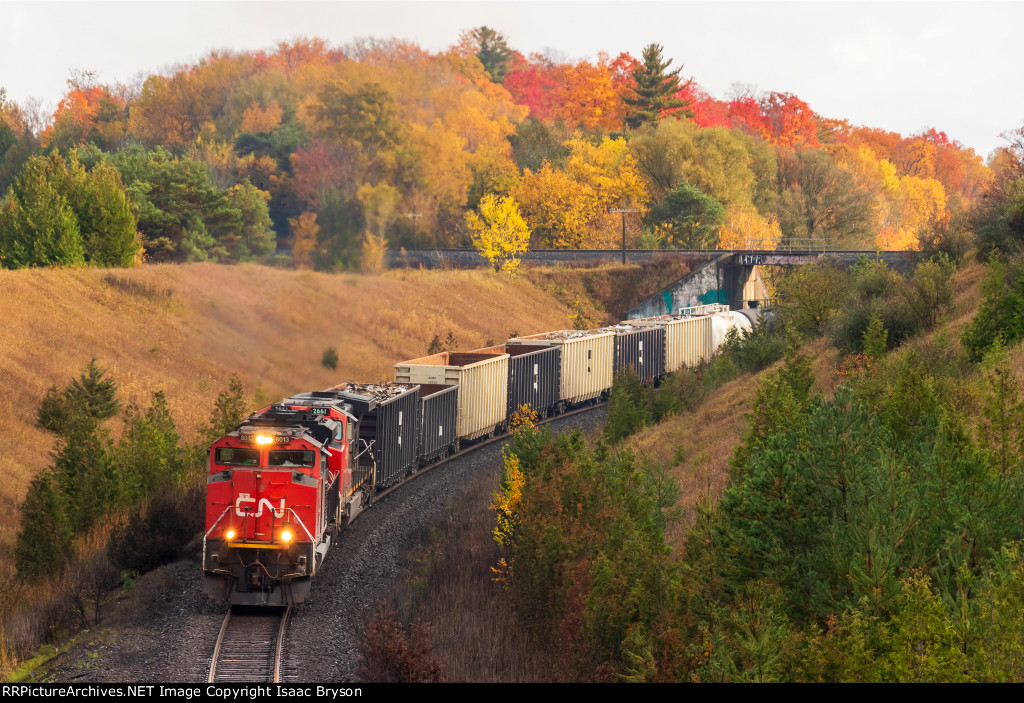 CN 8013